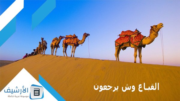 القباع وش يرجعون