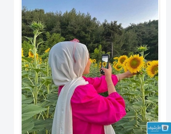 فتاة تقوم بالتقاط صورة لزهرة عباد الشمس