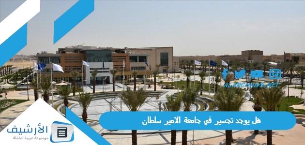 هل يوجد تجسير في جامعة الامير سلطان