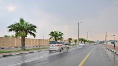 طقس السعودية اليوم بارد وممطر ودرجات الحرارة في انخفاض في بعض المدن