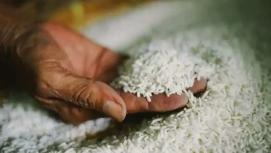 ارخص أرز 10 كيلو في جدة