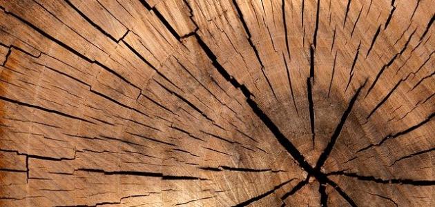 تفسير رؤية الخشب