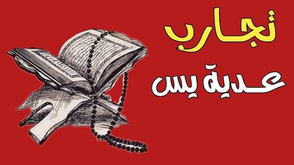 تجربتي مع عدية يس