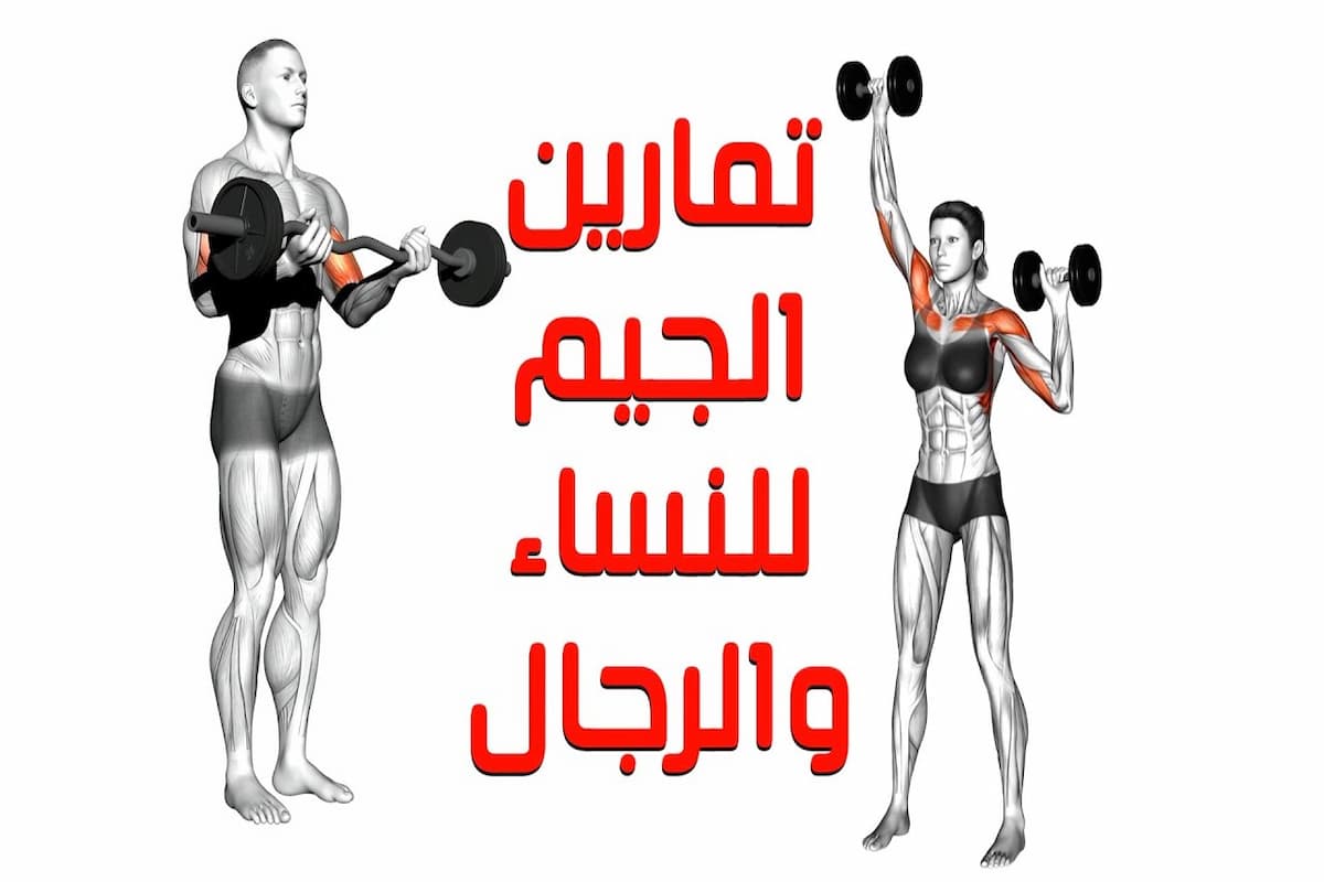 أفضل نظام تمرين في الجيم للتخسيس 2025 2 نظام تمرين في الجيم للتخسيس