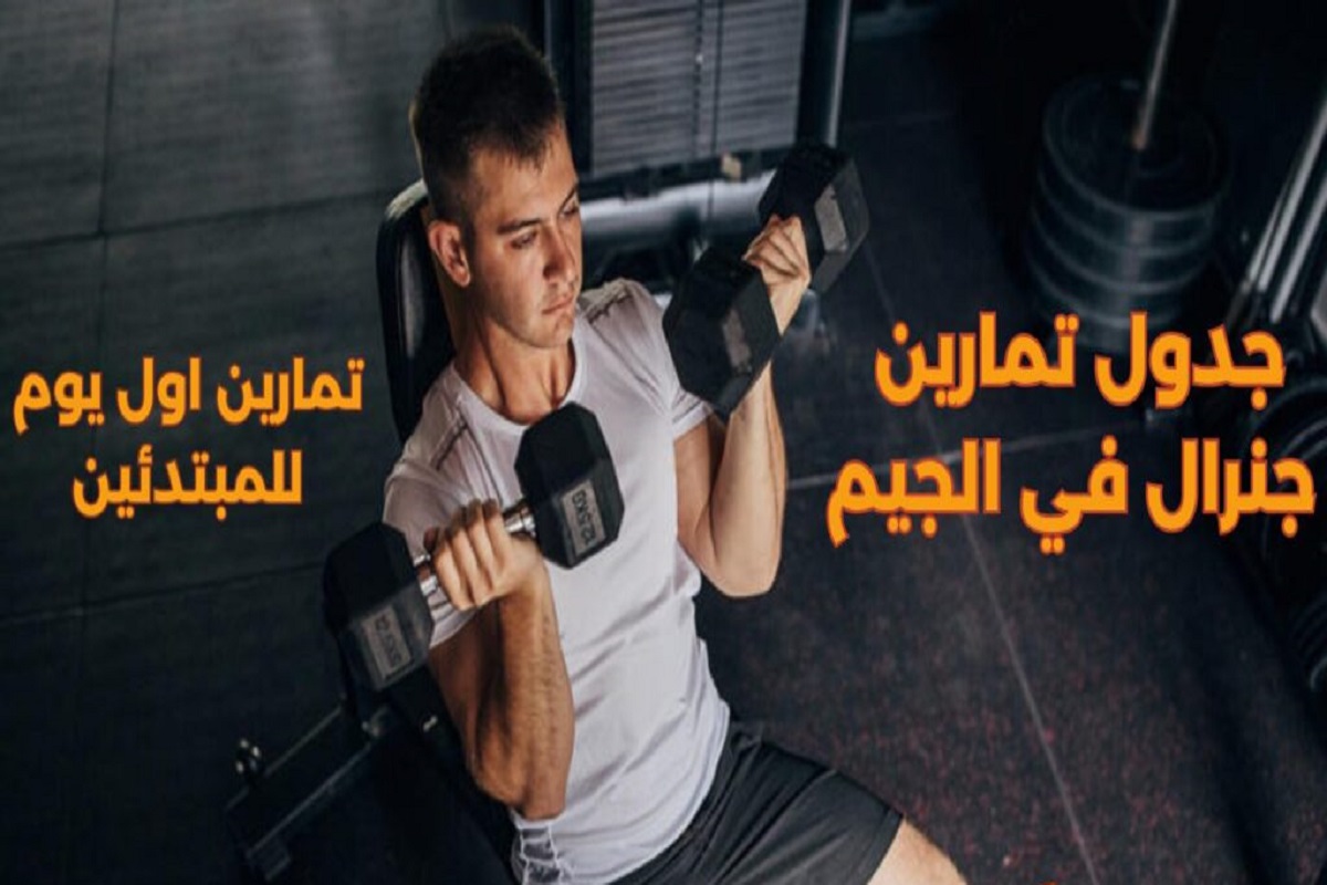 نظام تمرين في الجيم للمبتدئين والمستويات في هذه المرحلة 2 نظام تمرين في الجيم للمبتدئين