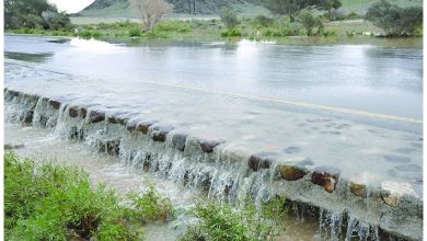 أمطار شديدة ورياح نشطة