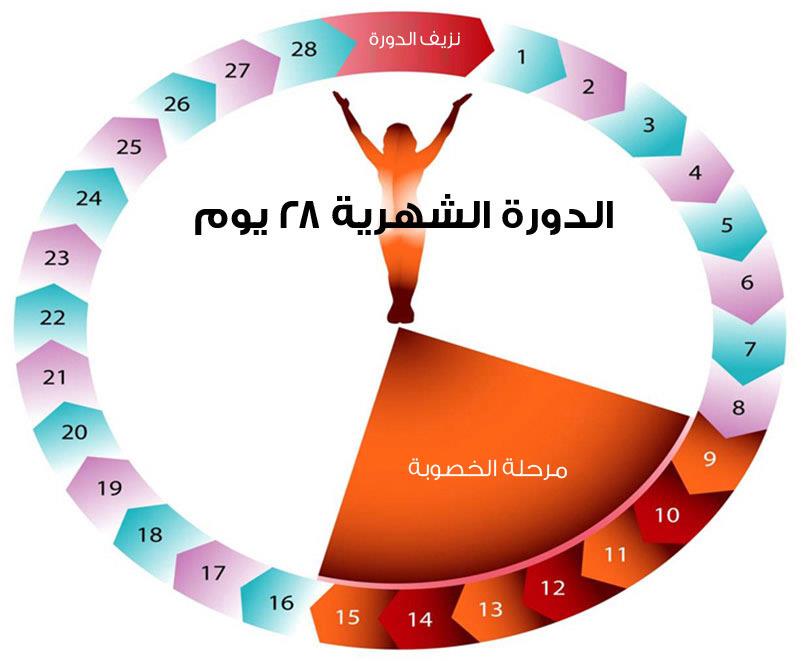 ايام التبويض