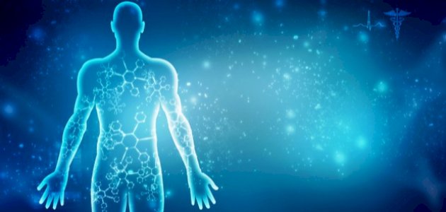 فقرة هل تعلم للإذاعة المدرسية للمرحلة المتوسطة عن جسم الإنسان 2026